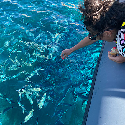 navetta in gommone per le spiagge dell'arcipelago di la maddalena