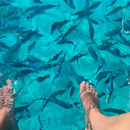 navetta in gommone per le spiagge dell'arcipelago di la maddalena