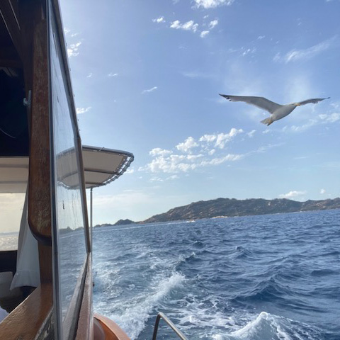 Escursioni arcipelago e corsica