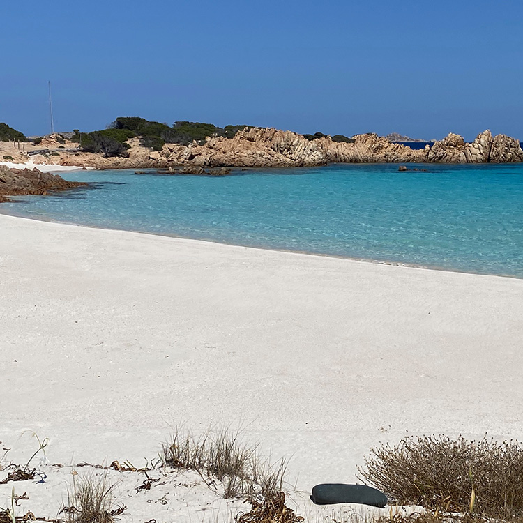 navetta in gommone per le spiagge dell'arcipelago di la maddalena