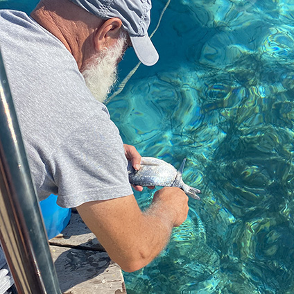 Escursioni arcipelago e corsica