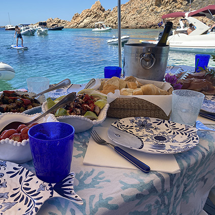Escursioni arcipelago e corsica